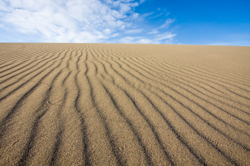Patterns In Sand Dune